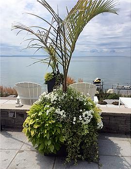 Custom-designed planters are a specialty at Mountainview Nurseries and garden centre.